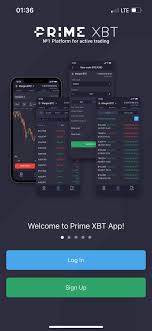 Everything You Need to Know About PrimeXBT Verification